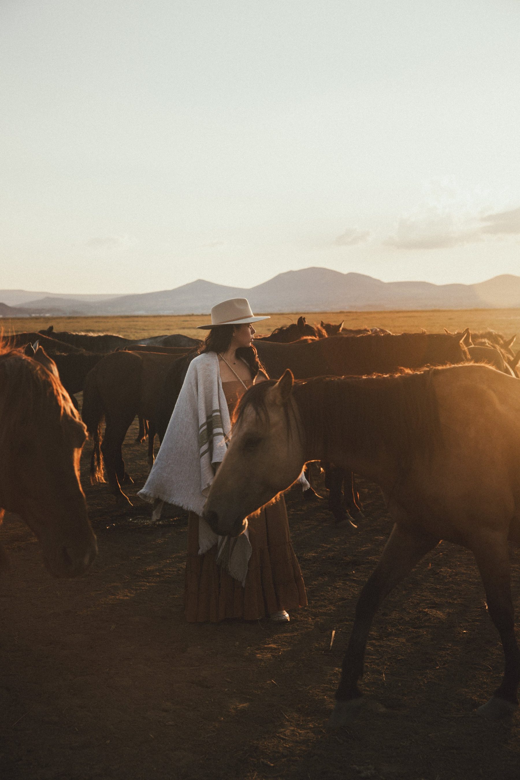 Horses at sunset on the Cappadocia plain